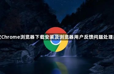 谷歌Chrome浏览器下载安装及浏览器用户反馈问题处理指南1