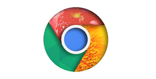 google Chrome浏览器下载完成后浏览器功能优化高级操作