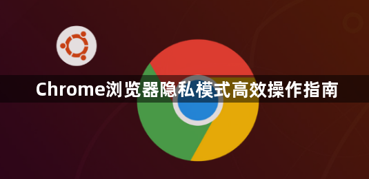 Chrome浏览器隐私模式高效操作指南1