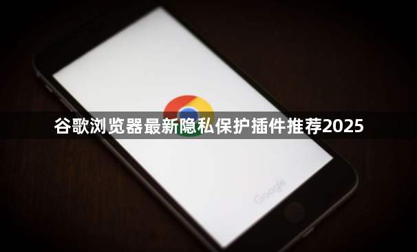 谷歌浏览器最新隐私保护插件推荐20251