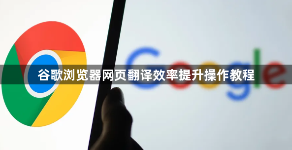 谷歌浏览器网页翻译效率提升操作教程1
