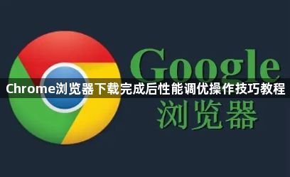 Chrome浏览器下载完成后性能调优操作技巧教程1