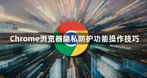 Chrome浏览器隐私防护功能操作技巧1