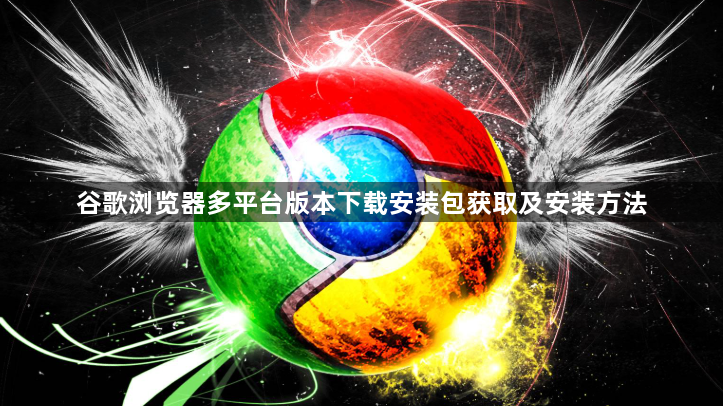 谷歌浏览器多平台版本下载安装包获取及安装方法1