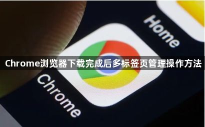 Chrome浏览器下载完成后多标签页管理操作方法1