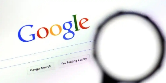 Google浏览器安装时如何选择离线安装包