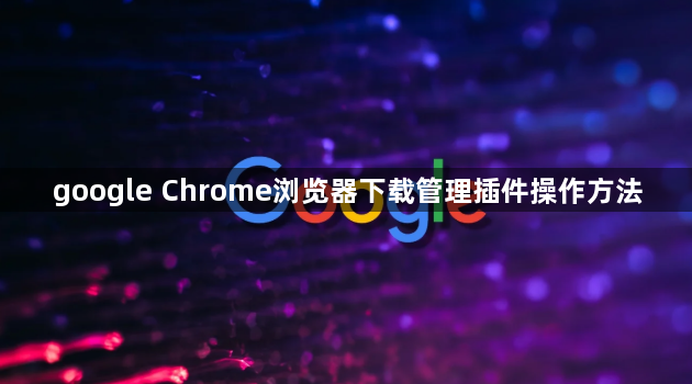 google Chrome浏览器下载管理插件操作方法1