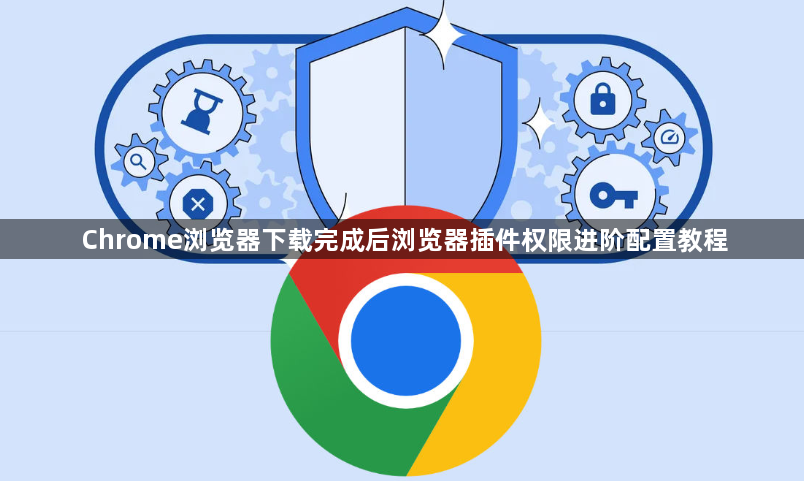 Chrome浏览器下载完成后浏览器插件权限进阶配置教程1