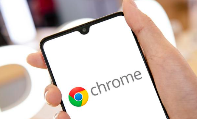 Chrome浏览器新手操作技巧全集