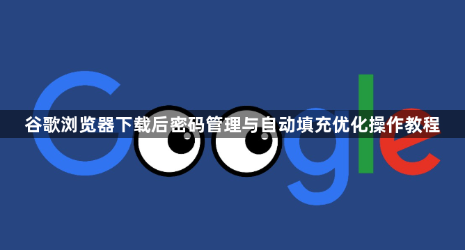 谷歌浏览器下载后密码管理与自动填充优化操作教程1