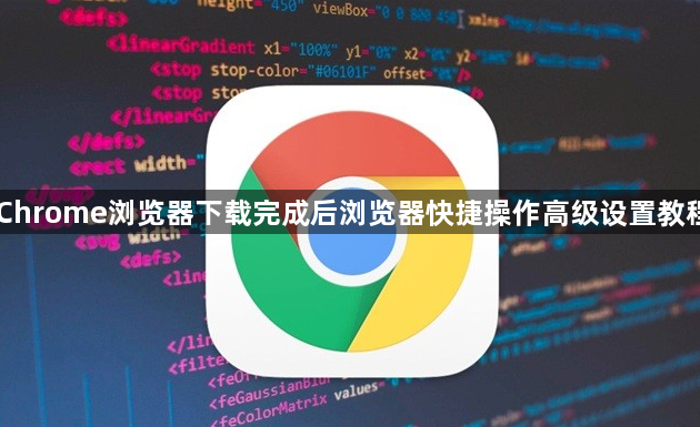 Chrome浏览器下载完成后浏览器快捷操作高级设置教程1