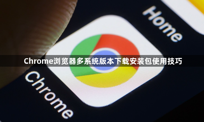 Chrome浏览器多系统版本下载安装包使用技巧1