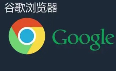 Google浏览器下载视频功能是否支持解析