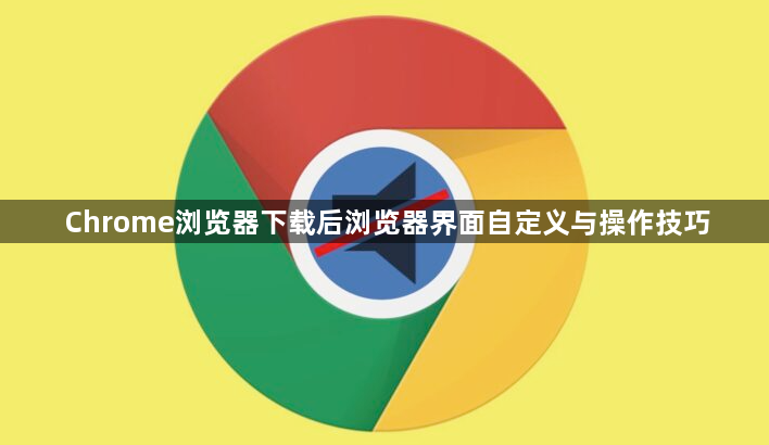 Chrome浏览器下载后浏览器界面自定义与操作技巧1