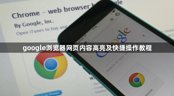 google浏览器网页内容高亮及快捷操作教程1